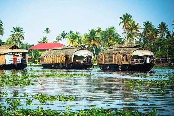 Marari Beach Cleetus Homestay Mararikulam Exterior foto